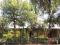pr2243 - Enjoy the luxury of having space, comfort, flowing garden and beautiful nature all together at DIE OOG. pr2243 - Enjoy the luxury of having space, comfort, flowing garden and beautiful nature all together at DIE OOG.