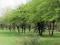 PR1429 - Stand for sale in Constantia. Live close to nature and build your own safe haven PR1429 - Stand for sale in Constantia. Live close to nature and build your own safe haven