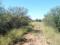 PR1461 - 2 ha small holding adjacent to town, with endless possibilities PR1461 - 2 ha small holding adjacent to town, with endless possibilities