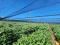 Copy of PR1586 Cattle and Irrigation farm 347 ha for sale Mookgopong Naboomspruit. Copy of PR1586 Cattle and Irrigation farm 347 ha for sale Mookgopong Naboomspruit.