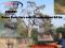 PR1601 Game farm for sale Steenbokpan 60 ha Limpopo PR1601 Game farm for sale Steenbokpan 60 ha Limpopo