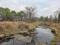 PR1634 Cattle farm 78 ha for sale Vaalwater with strong water and Seasonal River PR1634 Cattle farm 78 ha for sale Vaalwater with strong water and Seasonal River